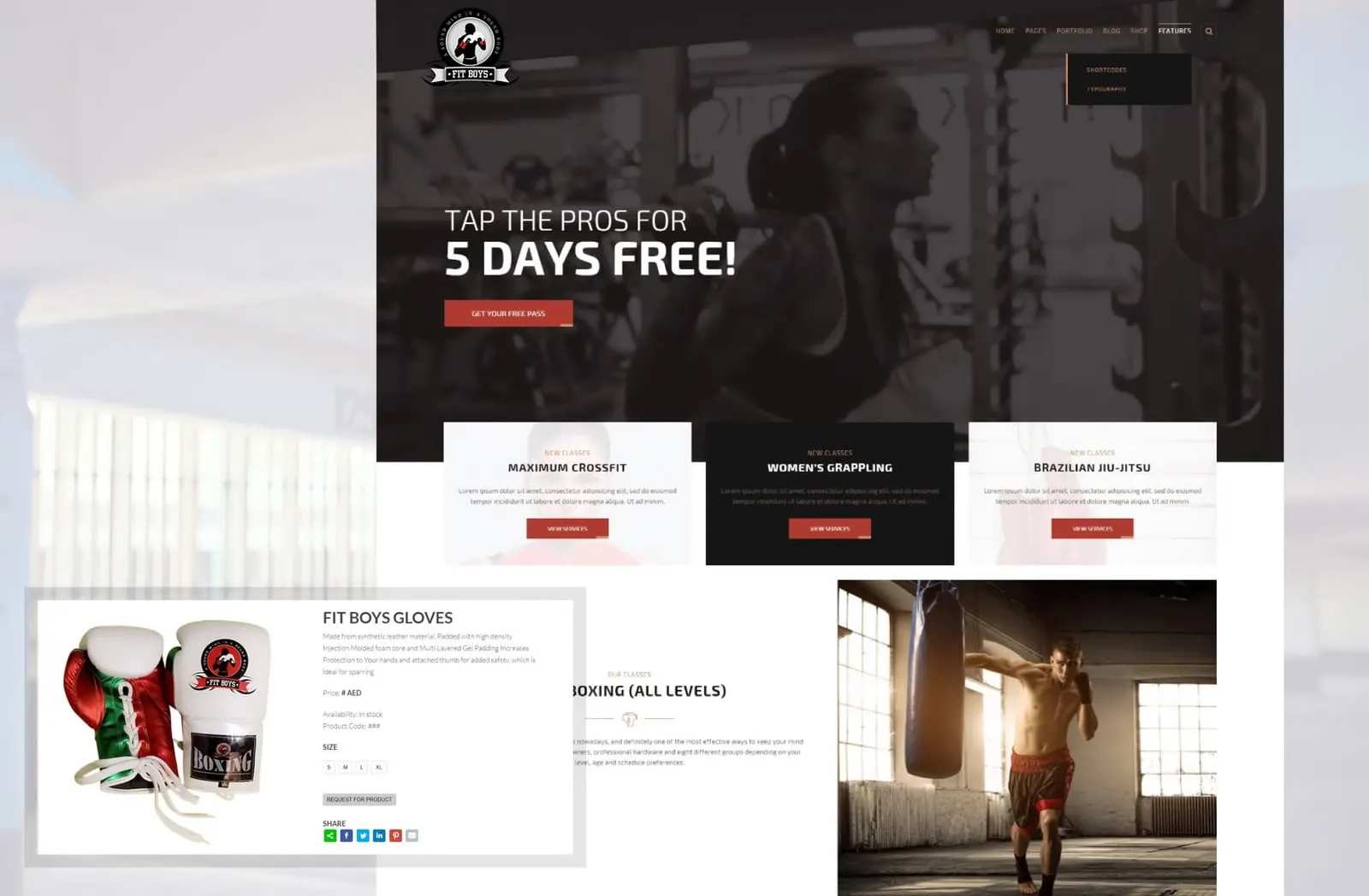 Fit Boys – Fight gym website